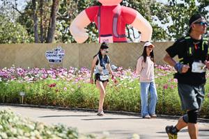 BIB: 
                            <button type="button" onclick="openModal(27798558)" class="btn btn-primary btn-sm float-right btn-popup" data-toggle="modal" data-target=".modal-high-quality">
                        <i class="fas fa-shopping-cart"></i> Add to Cart
                    </button>
                                            <button type="button" onclick="isThisMe(27798558, true)" class="btn btn-success btn-sm float-right btn-popup btn-isme hidden" data-toggle="tooltip" data-placement="bottom" title="นี่คือรูปของคุณใช่ไหม คลิกที่นี่เพื่อเอาเข้าอัลบั้ม">
                        <i class="fas fa-plus"></i> Add to album
                    </button>
                    <button type="button" onclick="isThisMe(27798558, false)" class="btn btn-warning btn-sm float-right btn-popup btn-isnotme hidden">
                        <i class="fas fa-ban"></i> Remove from album
                    </button>